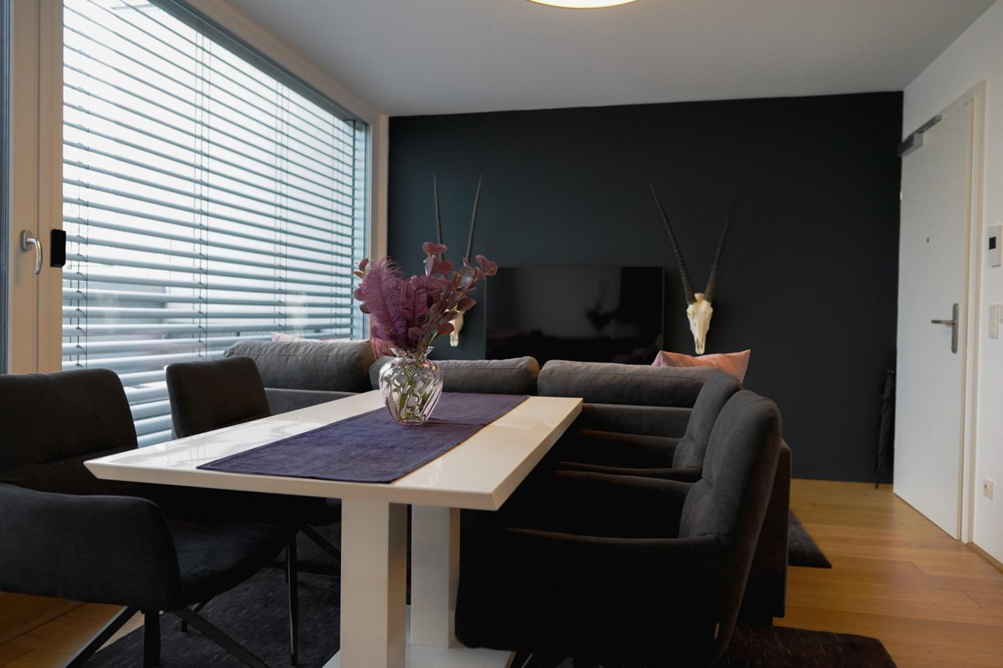 Modern Stylish Design With Free Parking Emily Apartament Viena