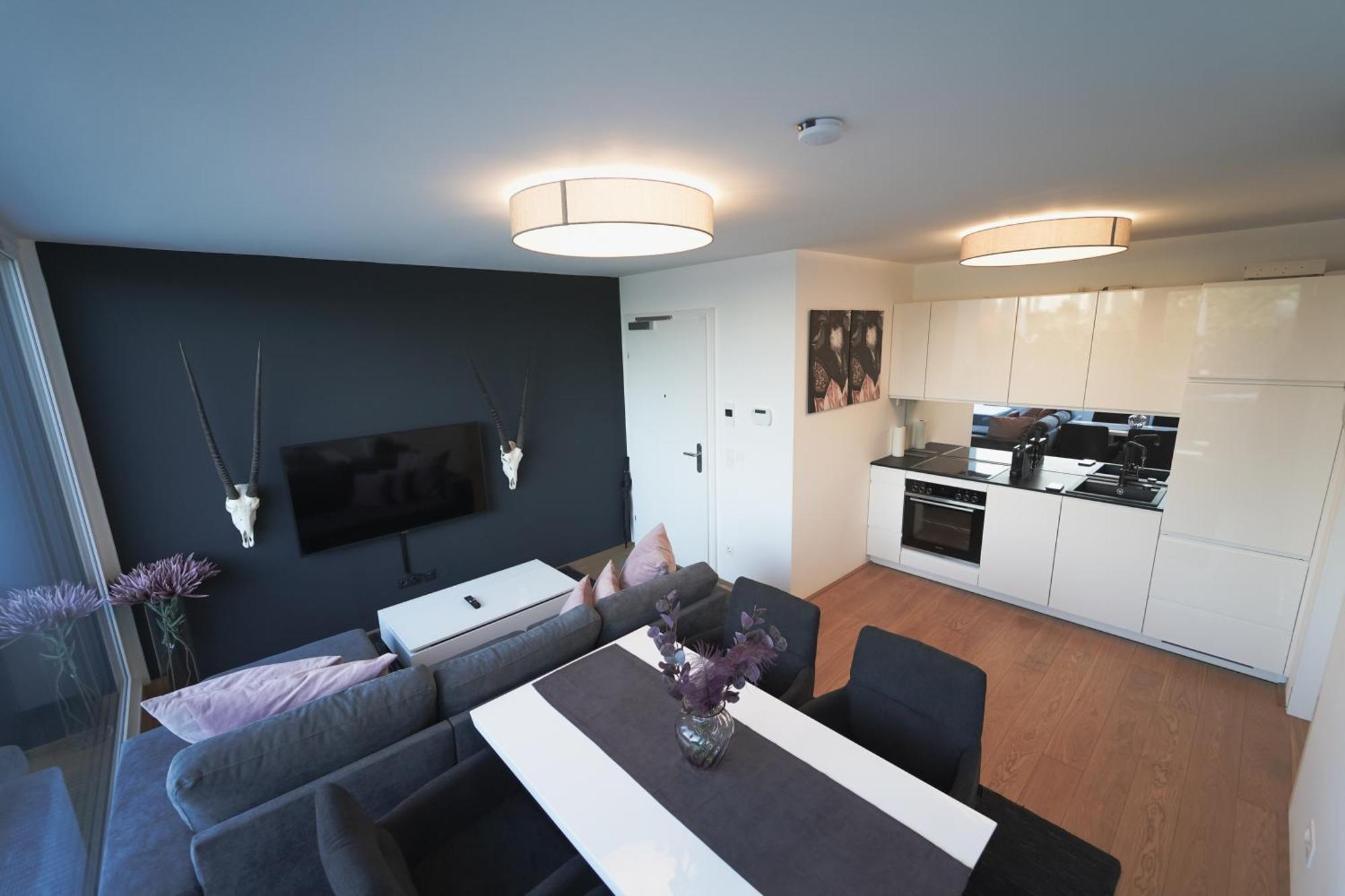 Modern Stylish Design With Free Parking Emily Apartament